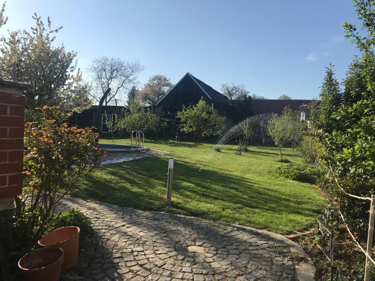 Helle, Offene Dachgeschosswohnung Mit Terrasse Oberloisdorf Ngoại thất bức ảnh
